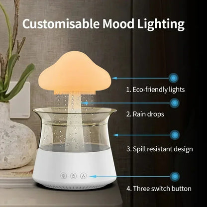 Rain Cloud Humidifier